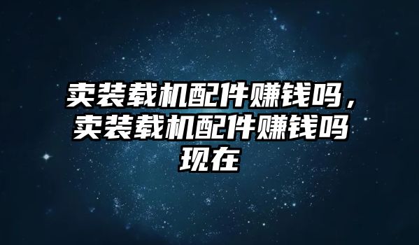 賣裝載機配件賺錢嗎，賣裝載機配件賺錢嗎現在