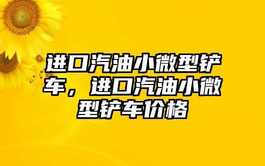 進口汽油小微型鏟車，進口汽油小微型鏟車價格