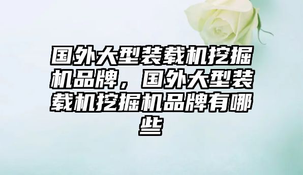 國外大型裝載機挖掘機品牌，國外大型裝載機挖掘機品牌有哪些