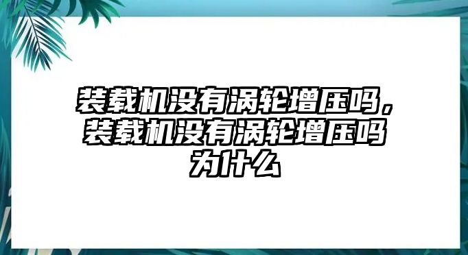 裝載機沒有渦輪增壓嗎，裝載機沒有渦輪增壓嗎為什么