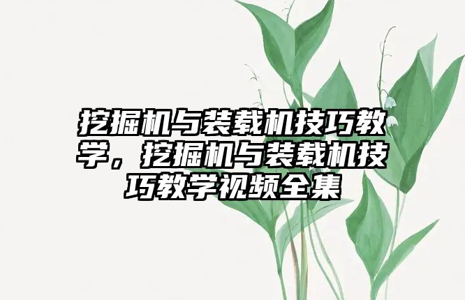 挖掘機與裝載機技巧教學，挖掘機與裝載機技巧教學視頻全集