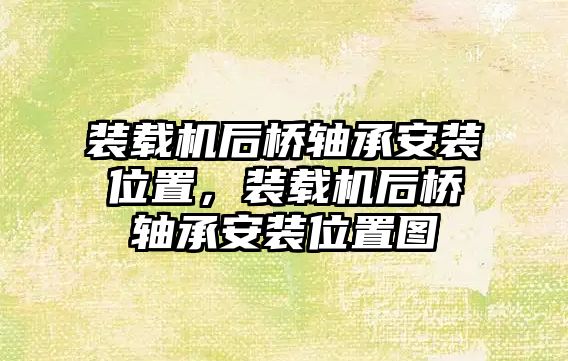 裝載機后橋軸承安裝位置，裝載機后橋軸承安裝位置圖