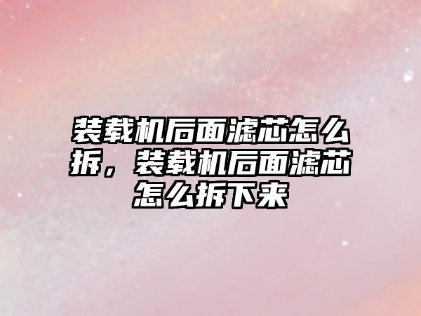 裝載機后面濾芯怎么拆，裝載機后面濾芯怎么拆下來