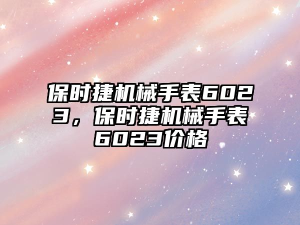 保時捷機械手表6023，保時捷機械手表6023價格