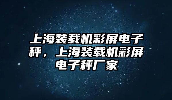 上海裝載機彩屏電子秤，上海裝載機彩屏電子秤廠家