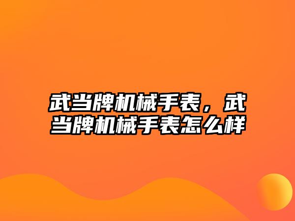 武當牌機械手表，武當牌機械手表怎么樣