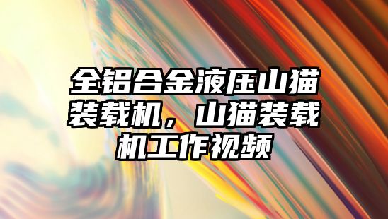 全鋁合金液壓山貓裝載機(jī)，山貓裝載機(jī)工作視頻