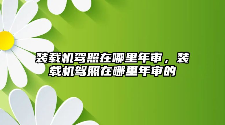 裝載機駕照在哪里年審，裝載機駕照在哪里年審的