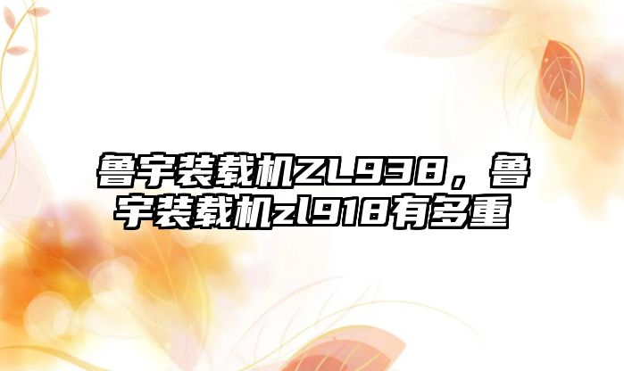 魯宇裝載機ZL938，魯宇裝載機zl918有多重