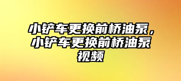 小鏟車更換前橋油泵，小鏟車更換前橋油泵視頻