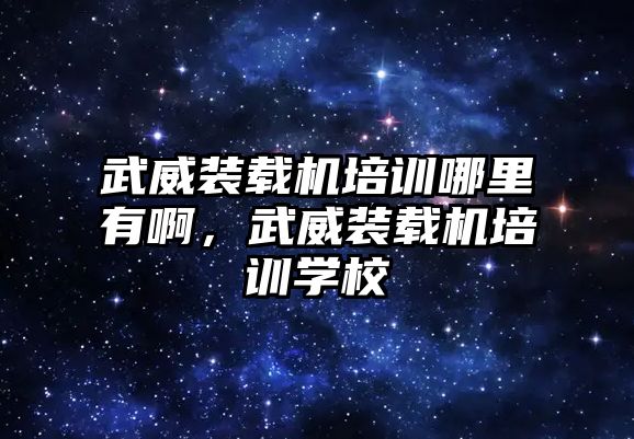 武威裝載機(jī)培訓(xùn)哪里有啊，武威裝載機(jī)培訓(xùn)學(xué)校